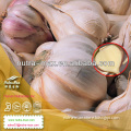China Supply Garlic Extract/Garlic Powder/Oderless Garlic Powder 0.5%,2%,1% Allicin (HPLC)